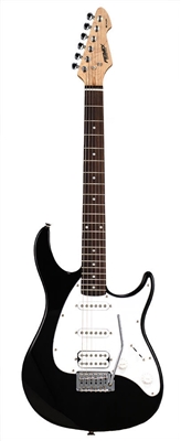 Electric Guitar