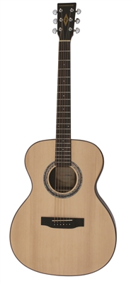 Acoustic Electric Guitar