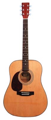 Stadium Lefty Acoustic Guitar